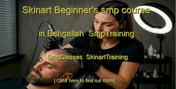 Skinart Beginner's smp course in Bahgallah | SmpTraining | SmpClasses | SkinartTraining-Australia
