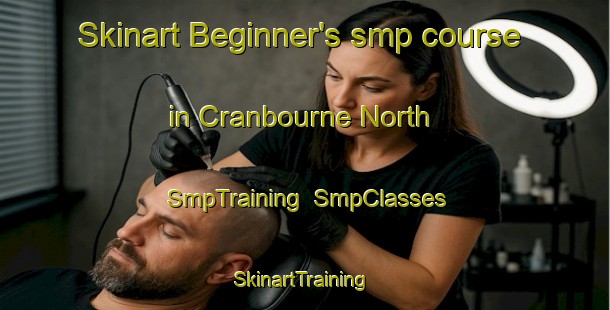 Skinart Beginner's smp course in Cranbourne North | SmpTraining | SmpClasses | SkinartTraining-Australia