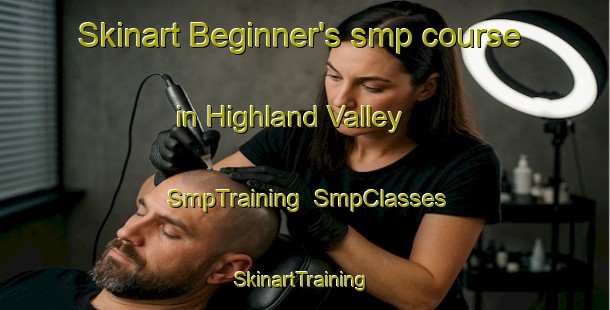Skinart Beginner's smp course in Highland Valley | SmpTraining | SmpClasses | SkinartTraining-Australia