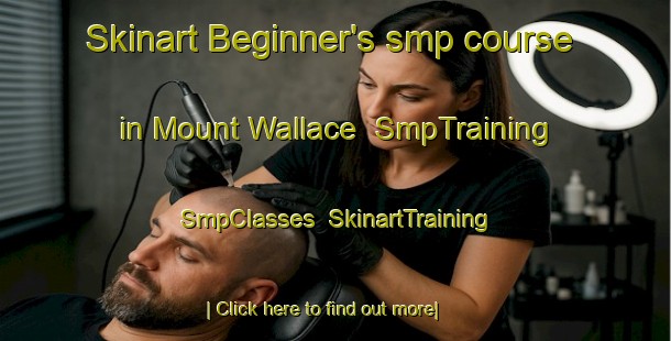 Skinart Beginner's smp course in Mount Wallace | SmpTraining | SmpClasses | SkinartTraining-Australia