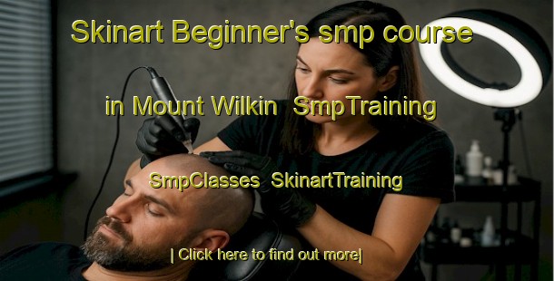 Skinart Beginner's smp course in Mount Wilkin | SmpTraining | SmpClasses | SkinartTraining-Australia