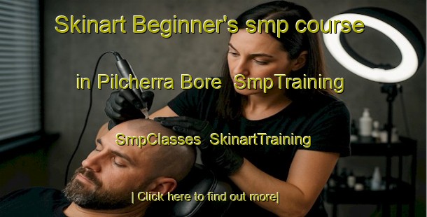 Skinart Beginner's smp course in Pilcherra Bore | SmpTraining | SmpClasses | SkinartTraining-Australia