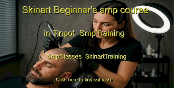 Skinart Beginner's smp course in Tinpot | SmpTraining | SmpClasses | SkinartTraining-Australia