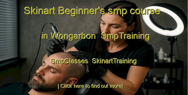 Skinart Beginner's smp course in Wongarbon | SmpTraining | SmpClasses | SkinartTraining-Australia