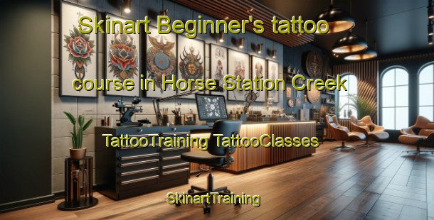 Skinart Beginner's tattoo course in Horse Station Creek | #TattooTraining #TattooClasses #SkinartTraining-Australia