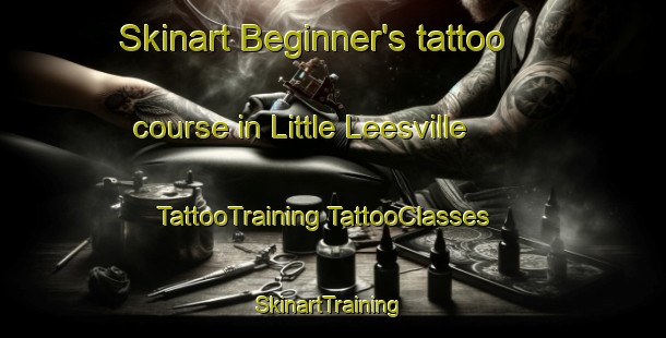 Skinart Beginner's tattoo course in Little Leesville | #TattooTraining #TattooClasses #SkinartTraining-Australia