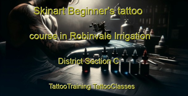 Skinart Beginner's tattoo course in Robinvale Irrigation District Section C | #TattooTraining #TattooClasses #SkinartTraining-Australia