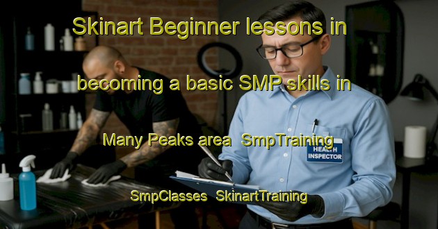 Skinart Beginner lessons in becoming a basic SMP skills in Many Peaks area | SmpTraining | SmpClasses | SkinartTraining-Australia