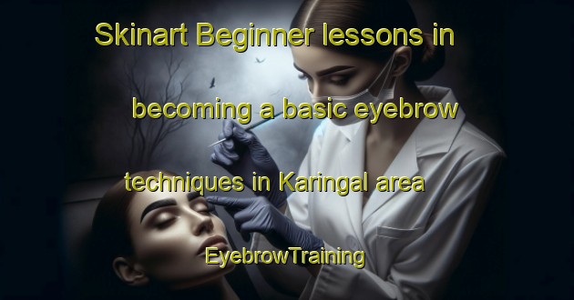 Skinart Beginner lessons in becoming a basic eyebrow techniques in Karingal area | EyebrowTraining | EyebrowClasses | SkinartTraining-Australia