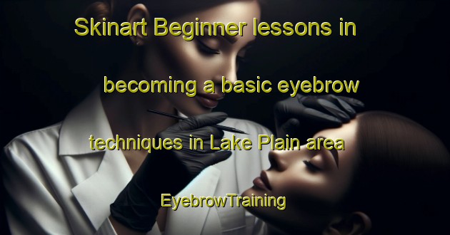 Skinart Beginner lessons in becoming a basic eyebrow techniques in Lake Plain area | EyebrowTraining | EyebrowClasses | SkinartTraining-Australia