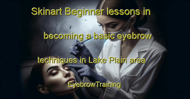 Skinart Beginner lessons in becoming a basic eyebrow techniques in Lake Plain area | EyebrowTraining | EyebrowClasses | SkinartTraining-Australia