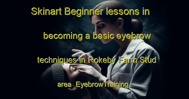 Skinart Beginner lessons in becoming a basic eyebrow techniques in Rokeby Farm Stud area | EyebrowTraining | EyebrowClasses | SkinartTraining-Australia