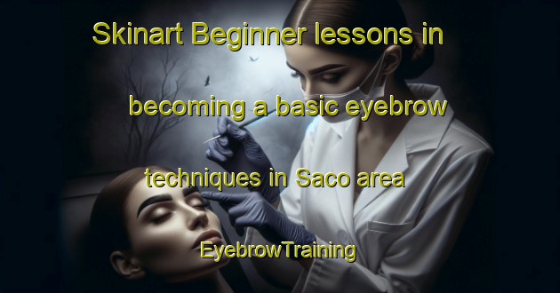 Skinart Beginner lessons in becoming a basic eyebrow techniques in Saco area | EyebrowTraining | EyebrowClasses | SkinartTraining-Australia