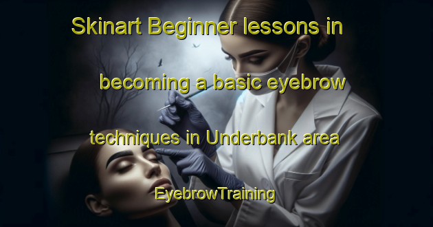 Skinart Beginner lessons in becoming a basic eyebrow techniques in Underbank area | EyebrowTraining | EyebrowClasses | SkinartTraining-Australia