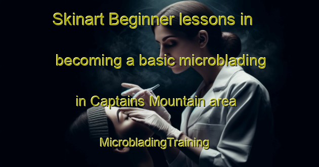Skinart Beginner lessons in becoming a basic microblading in Captains Mountain area | MicrobladingTraining | MicrobladingClasses | SkinartTraining-Australia