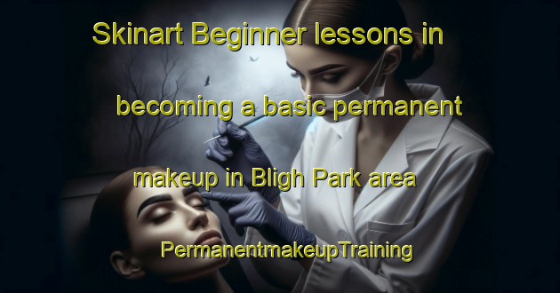 Skinart Beginner lessons in becoming a basic permanent makeup in Bligh Park area | PermanentmakeupTraining | PermanentmakeupClasses | SkinartTraining-Australia