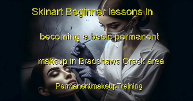 Skinart Beginner lessons in becoming a basic permanent makeup in Bradshaws Creek area | PermanentmakeupTraining | PermanentmakeupClasses | SkinartTraining-Australia