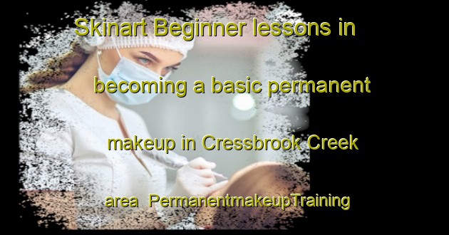 Skinart Beginner lessons in becoming a basic permanent makeup in Cressbrook Creek area | PermanentmakeupTraining | PermanentmakeupClasses | SkinartTraining-Australia