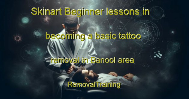 Skinart Beginner lessons in becoming a basic tattoo removal in Banool area | RemovalTraining | RemovalClasses | SkinartTraining-Australia