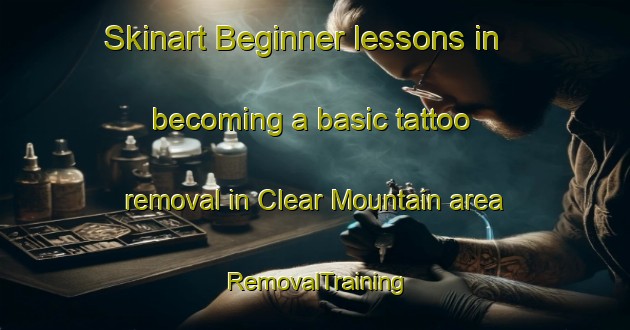 Skinart Beginner lessons in becoming a basic tattoo removal in Clear Mountain area | RemovalTraining | RemovalClasses | SkinartTraining-Australia