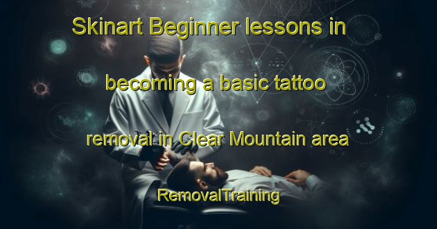 Skinart Beginner lessons in becoming a basic tattoo removal in Clear Mountain area | RemovalTraining | RemovalClasses | SkinartTraining-Australia