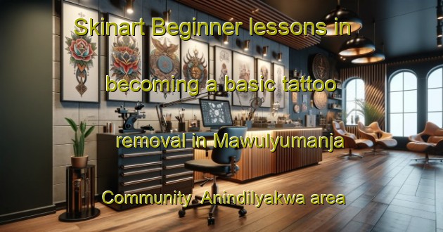 Skinart Beginner lessons in becoming a basic tattoo removal in Mawulyumanja Community  Anindilyakwa area | RemovalTraining | RemovalClasses | SkinartTraining-Australia