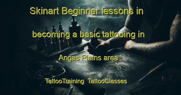 Skinart Beginner lessons in becoming a basic tattooing in Angas Plains area | TattooTraining | TattooClasses | SkinartTraining-Australia