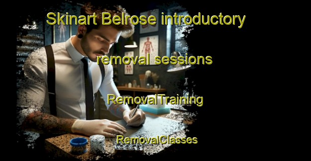 Skinart Belrose introductory removal sessions | RemovalTraining | RemovalClasses | SkinartTraining-Australia