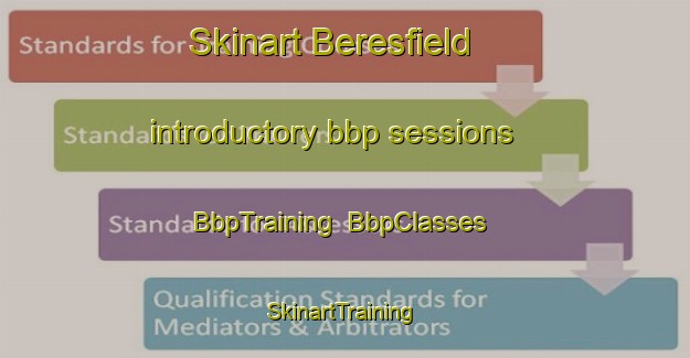 Skinart Beresfield introductory bbp sessions | BbpTraining | BbpClasses | SkinartTraining-Australia