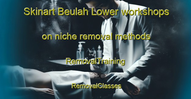 Skinart Beulah Lower workshops on niche removal methods | RemovalTraining | RemovalClasses | SkinartTraining-Australia