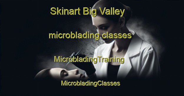 Skinart Big Valley microblading classes | MicrobladingTraining | MicrobladingClasses | SkinartTraining-Australia