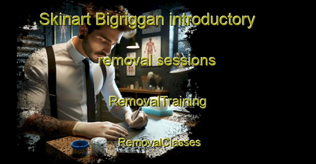 Skinart Bigriggan introductory removal sessions | RemovalTraining | RemovalClasses | SkinartTraining-Australia