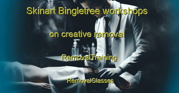 Skinart Bingletree workshops on creative removal | RemovalTraining | RemovalClasses | SkinartTraining-Australia