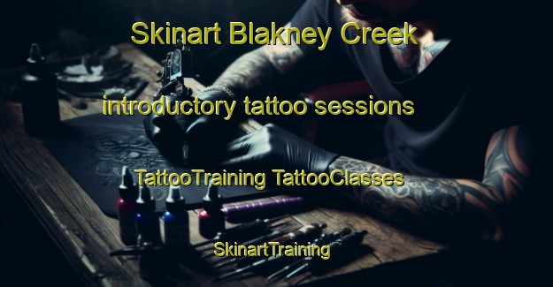 Skinart Blakney Creek introductory tattoo sessions | #TattooTraining #TattooClasses #SkinartTraining-Australia