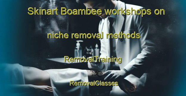 Skinart Boambee workshops on niche removal methods | RemovalTraining | RemovalClasses | SkinartTraining-Australia