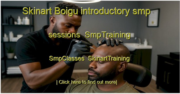 Skinart Boigu introductory smp sessions | SmpTraining | SmpClasses | SkinartTraining-Australia