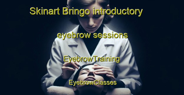 Skinart Bringo introductory eyebrow sessions | EyebrowTraining | EyebrowClasses | SkinartTraining-Australia
