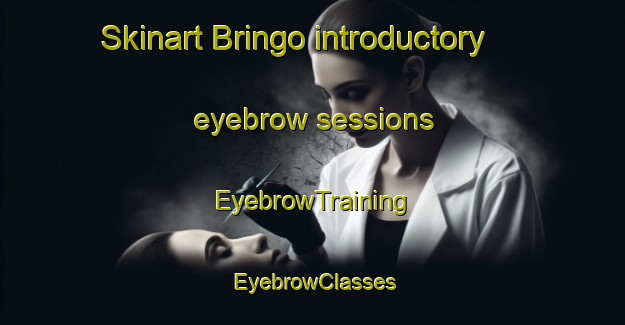Skinart Bringo introductory eyebrow sessions | EyebrowTraining | EyebrowClasses | SkinartTraining-Australia