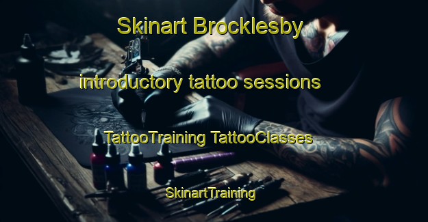 Skinart Brocklesby introductory tattoo sessions | #TattooTraining #TattooClasses #SkinartTraining-Australia