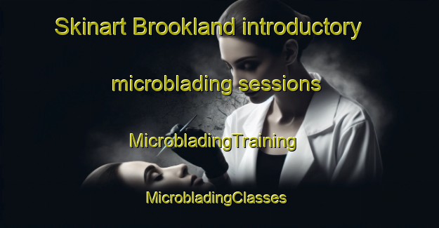 Skinart Brookland introductory microblading sessions | MicrobladingTraining | MicrobladingClasses | SkinartTraining-Australia