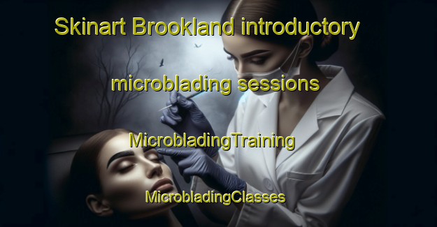Skinart Brookland introductory microblading sessions | MicrobladingTraining | MicrobladingClasses | SkinartTraining-Australia