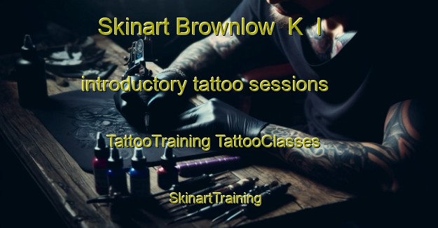 Skinart Brownlow  K  I introductory tattoo sessions | #TattooTraining #TattooClasses #SkinartTraining-Australia