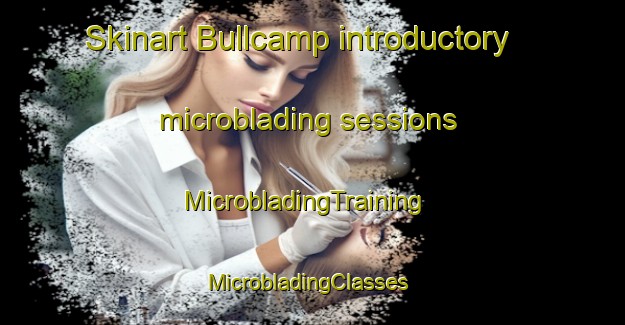 Skinart Bullcamp introductory microblading sessions | MicrobladingTraining | MicrobladingClasses | SkinartTraining-Australia