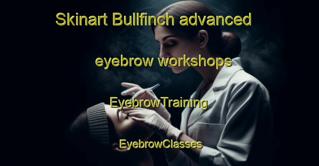 Skinart Bullfinch advanced eyebrow workshops | EyebrowTraining | EyebrowClasses | SkinartTraining-Australia