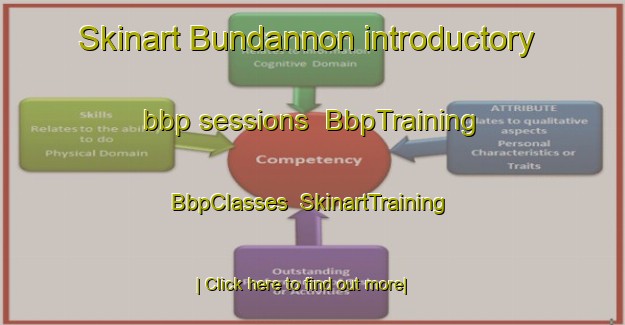 Skinart Bundannon introductory bbp sessions | BbpTraining | BbpClasses | SkinartTraining-Australia
