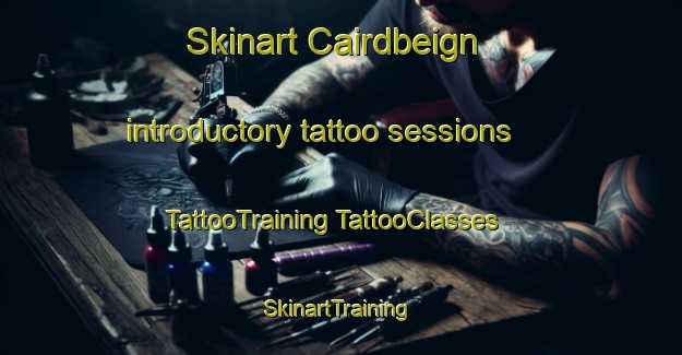 Skinart Cairdbeign introductory tattoo sessions | #TattooTraining #TattooClasses #SkinartTraining-Australia