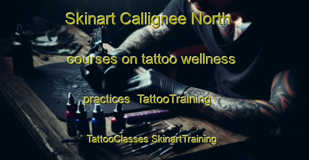 Skinart Callignee North courses on tattoo wellness practices | #TattooTraining #TattooClasses #SkinartTraining-Australia