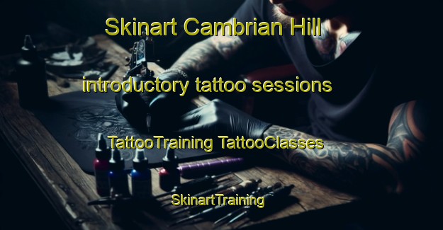 Skinart Cambrian Hill introductory tattoo sessions | #TattooTraining #TattooClasses #SkinartTraining-Australia