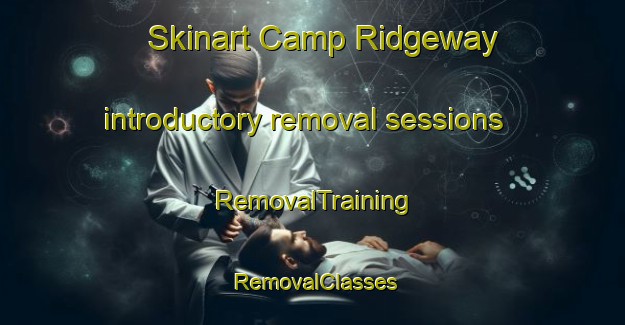 Skinart Camp Ridgeway introductory removal sessions | RemovalTraining | RemovalClasses | SkinartTraining-Australia
