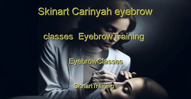 Skinart Carinyah eyebrow classes | EyebrowTraining | EyebrowClasses | SkinartTraining-Australia